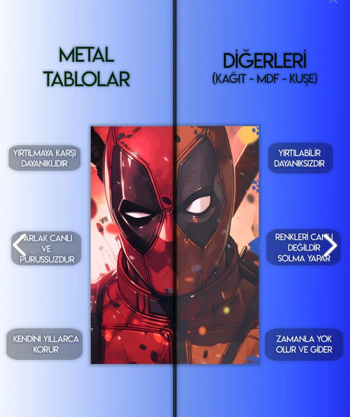 Kadın ve Çiçek Metal Tablo Levhane.com